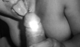 ylinda