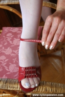 Panty stockings