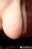 Meet HitomiThe Biggest Japanese Boobs
