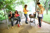Violla, Rosa, Laska, Gregor, Filimon
