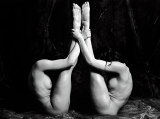 Fotowork by Peter Van Stralen