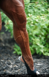 Veiny Misc