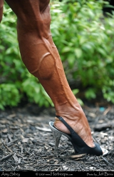Veiny Misc