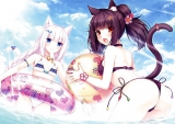 Chocola and Vanilla (Nekopara)