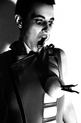 Black and White 832!