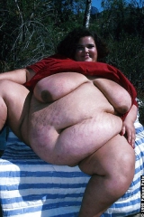 Flavors of all kinds 2