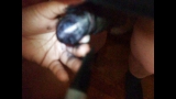 Little White Cock Colored Black