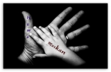 All is my photos
