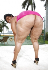 Phat Black Asses Vol. I