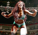 Wwe Alicia Fox