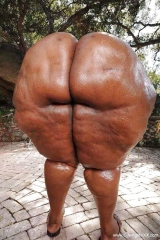 Black azz master
