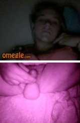 cock