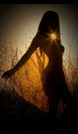 awesome bods 250-300f