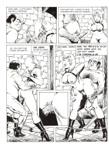 COMICS - SUPERHEROINES