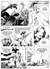 COMICS - SUPERHEROINES