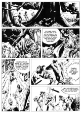 COMICS - SUPERHEROINES