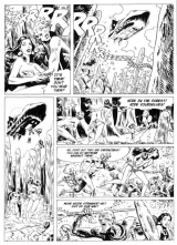 COMICS - SUPERHEROINES
