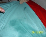 wie immer geil gefickt