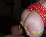 wie immer geil gefickt