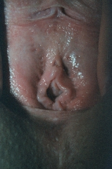 Slut wife hardcore fucking sucking a stranger closeup pussy