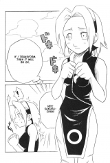 Houkouken