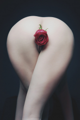 Flowers In Asshole