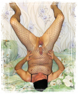 Ass in a mesh