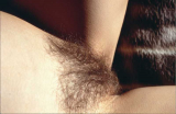 Bettina Riedel from Hannover show her pussy