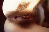 Bettina Riedel from Hannover show her pussy
