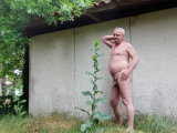 je me balade nu dans la nature