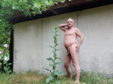 je me balade nu dans la nature
