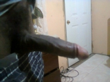jamaican cock