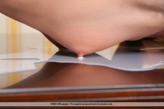 Got Milk Campaign - N