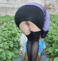 Upskirt Cuties 13 - N