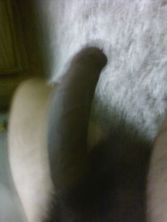 Some pics - N
