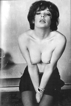 Vintage collextion # 3 Julie Adams - N