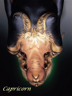 Bodypaint - N