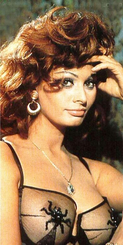 Sophia Loren - N