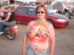 Painted tits - N