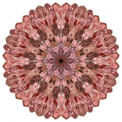 ART 6 - N