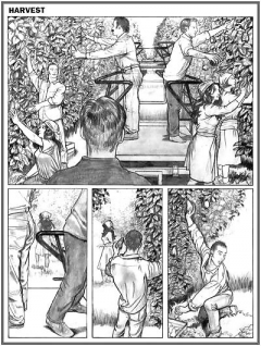 Hot comics 1 - N