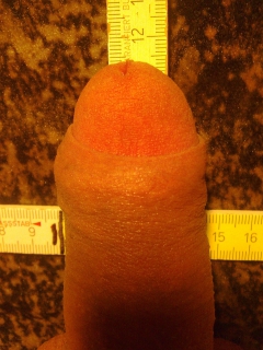 size of my cock - N