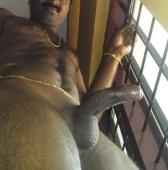 indian cock - N