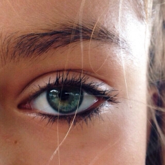 pic turmix - N