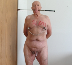 rich palmer lost another bet with sue - N