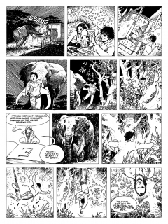 COMICS - SUPERHEROINES - N
