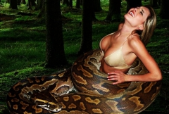 Snakey Girls - N