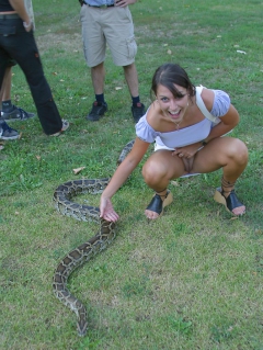 Snakey Girls - N