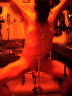 Kevin Stamco Porns Extreme Male Slut - N