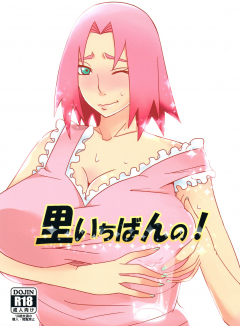 (C84) [Pucchu (Echigawa Ryuuka)] Best in the Village! (Narut - N